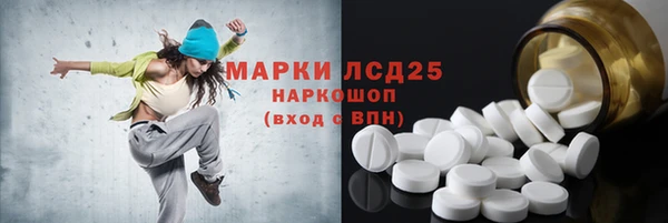 крисы Алзамай
