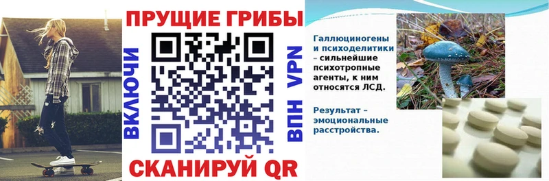 гидра ТОР  купить   Вихоревка  Галлюциногенные грибы Cubensis 
